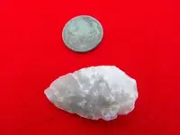 DSCF5632.webp