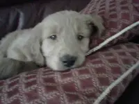 IMG00380-20110321-1545.webp