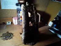 resize 3.webp
