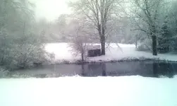 IMAG0019.webp