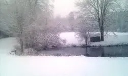 IMAG0020.webp