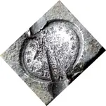 CIMG2145A Rotated.webp