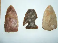 DSCF1503.webp