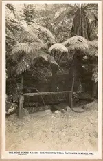 Wishing Well, Nathania Springs, Victoria, Australia.webp