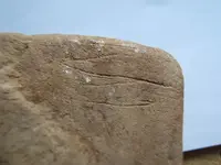 DSCF1508.webp