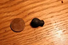 nc finds 03-31 007.webp