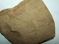DSCF1505.webp