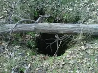 20110224-00010.webp