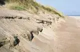 th_dunetoe.webp th_dunetoe.webp