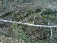 20110224-00013.webp