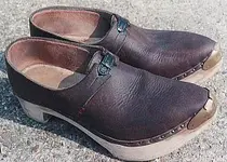 Brownslippermedium[1].webp