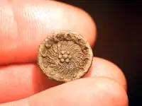 nc finds 02-24 006.webp