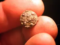 nc finds 02-24 009.webp