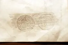 nc finds 02-24 016.webp