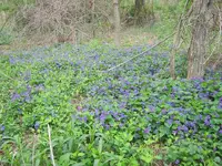 IMG_2813.webp