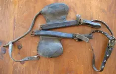 1800s Horse Harness tack with buckles.webp