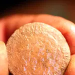 nc finds 03-14 007.webp