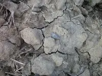 102_1245.webp