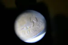 007.webp