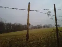 deer fence.webp