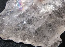 small closeup.webp