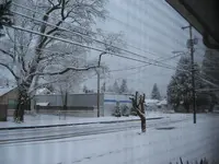 Snow pictures 2-24-11 057.webp