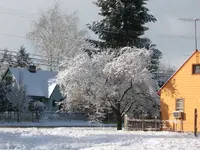 Snow pictures 2-24-11 074.webp