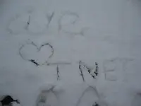Snow pictures 2-24-11 070.webp