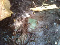 0503091315a.webp