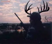wife hunting.webp
