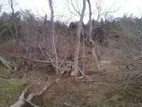 My spooky cellar hole 1.webp