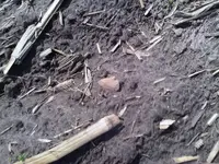 IMG00033-20110417-1203.webp