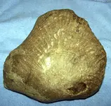rock2.webp