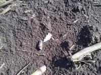 IMG00030-20110417-0912.webp