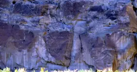 wecamelaterinsearchofthemagicmountain.webp