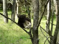 Creepy.webp