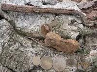 Site254finds14March11.webp