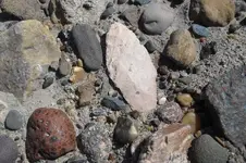 rsz_001[1].webp