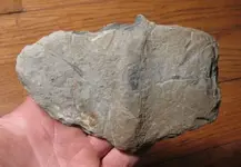 Double notched bannerstone preform.webp