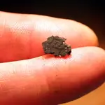 nc finds 03-22 006.webp