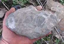 Double notched bannerstone preform.webp