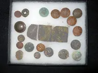 DSCN1181.webp