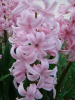 DSC00124.webp