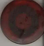 buttonback.webp