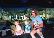 19037_271138768456_500753456_3560186_6938623_n.webp