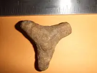 rock 008.webp