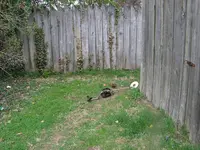 PICT0289.webp