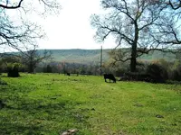 Camping, april 15,16th 2011 2011-04-15 125.webp