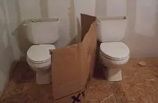 potty.webp