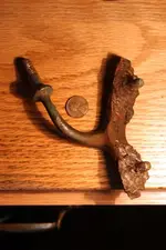 nc finds 03-30 007.webp